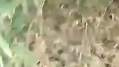 Village girl outdoor MMS fucking video with lover
